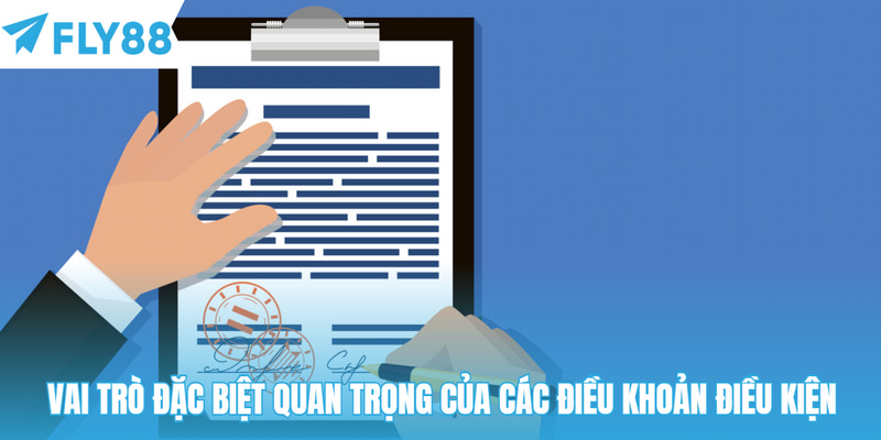 Vai trò đặc biệt quan trọng của các điều khoản điều kiện